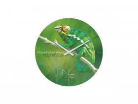 Часы настенные Nicole Time NT503 в Кольцово - kolcovo.mebel-nsk.ru | фото